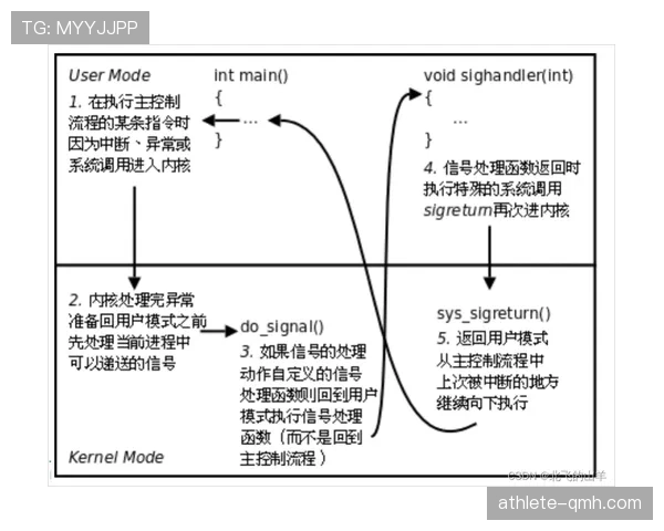 篮球规则中控球权定义的核心概念解析与具体判定依据